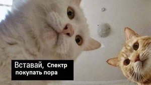 Универсал Спектр 340 и новинка сезона 2025 мЕрман 340