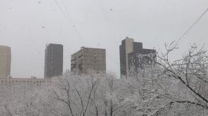 Дмитрий TV. Клип «31 Декабря 2024 Года». Блокбастер -- «31 Декабря».