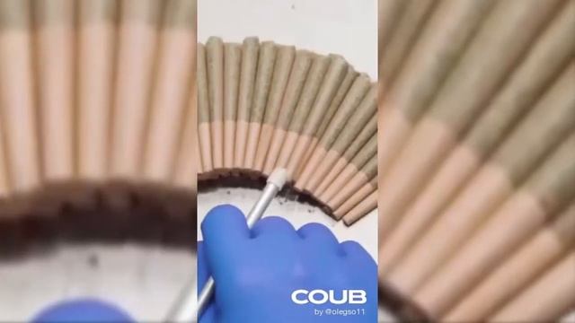 Отборные Кубы | COUB лучшее | Смешные видео смотреть онлайн