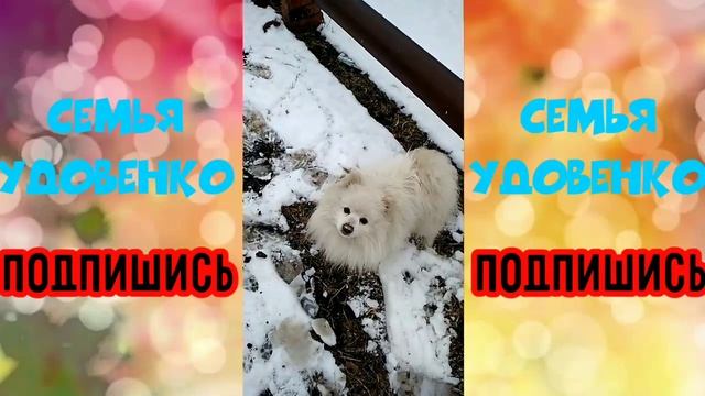 #Коптильня#НашиСамоделки смотреть онлайн