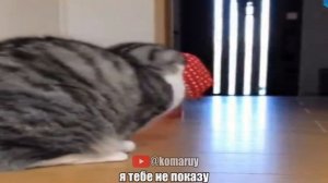 ты мне больше не подружка😡