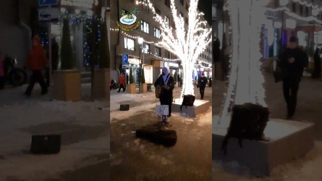 Новосибирск - подготовка к Новому Году 2025. Часть 17
