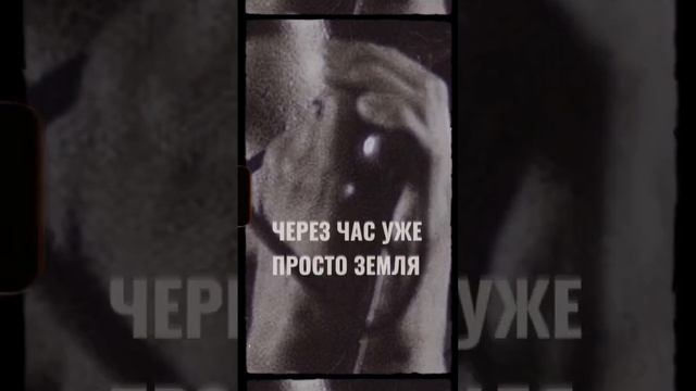 Виктор Цой -Звеззда по имени солнце #цойжив #цой #звездапоименисолнце #кукушка #кино