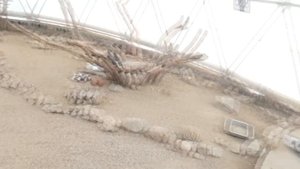 Динотерий. Лабиринт времени