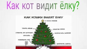 Как коты видят ёлку?