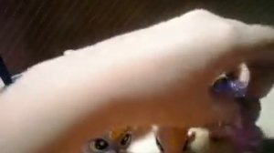 Обзор моих лпс