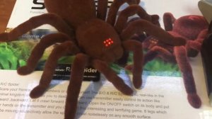 Паук Тарантул на пульте управления Игрушка)крутая игрушка!