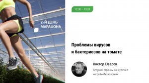 🏃 Источники инфекции в тепличном комплексе. Проблемы вирусов, бактериозов томата. Система защиты