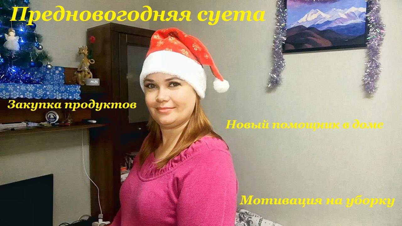 Предновогодняя суета🎄 / Закупка продуктов🛍 / Новый помощник в доме🤗 / Мотивация на уборку🧹