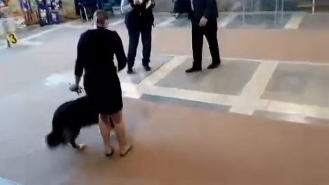 Герда смотреть онлайн