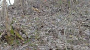 новогодняя покатушка по Саблино )