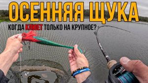 При какой температуре воды ЛУЧШЕ ловить на КРУПНЫЕ ПРИМАНКИ? Осенняя рыбалка на щуку в Оке
