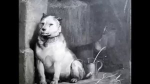 Pavlov's Dog - Julia (HQ)