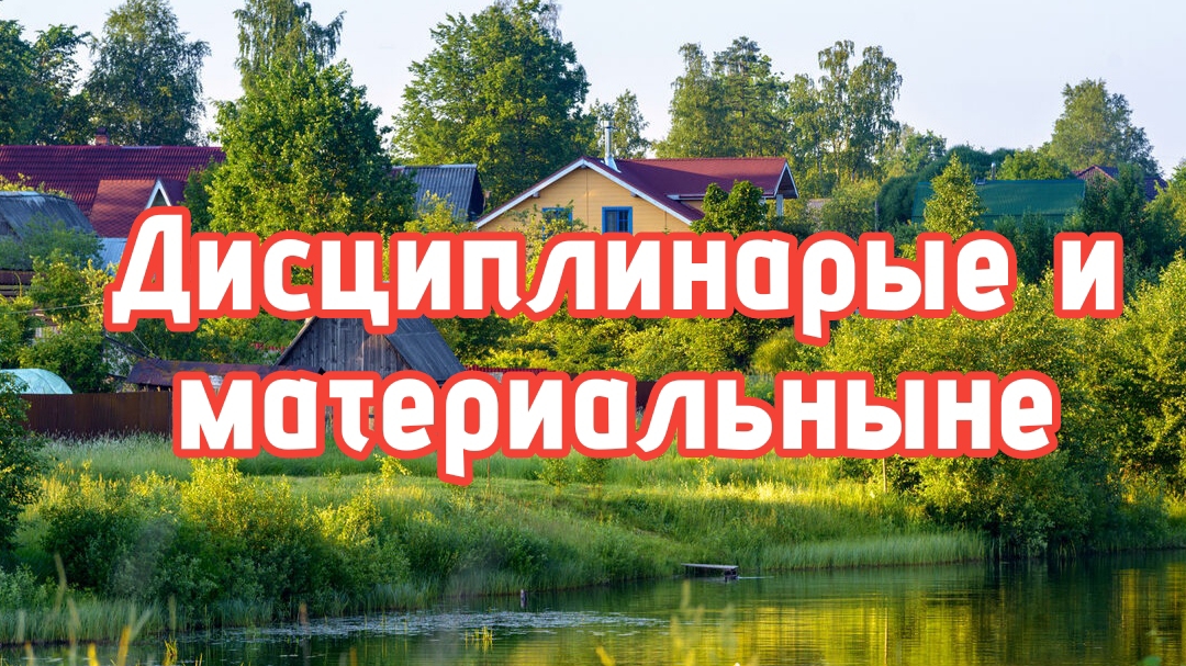 Меры ответственности членов СНТ (материальная, дисциплинарая)