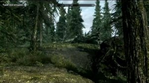 Воин Скайрима (TES V:Skyrim) #3 Бродяга