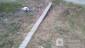 ОКА 11113 ТЫ НЕ ПОВЕРЕШ