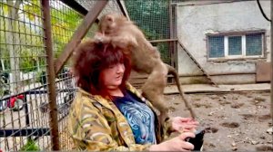 Мама попала конечно под ТАКУЮ РАЗДАЧУ от  Люси и Степы что просто ее жалко стало! АРХИВ.