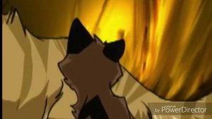 [Коты-Воители]Над Вами