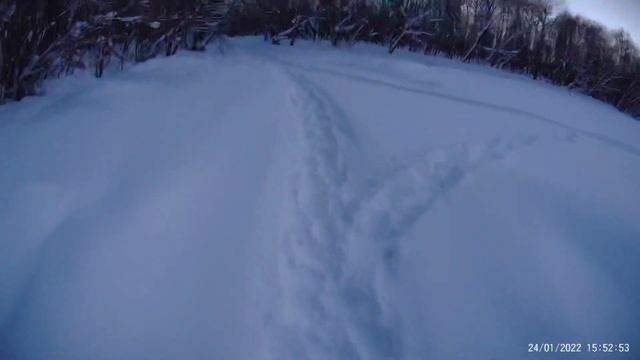 Охота на кабана с вышки 2022