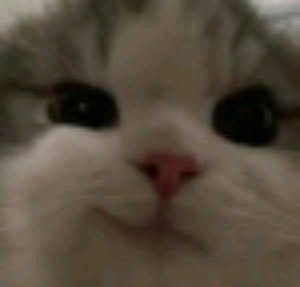 Обзор на все