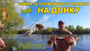 Жор майского ГОЛАВЛЯ. Рыбалка на донку в праздники.