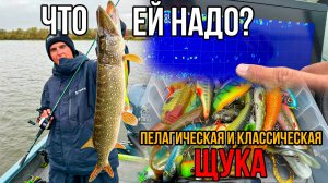 Как понять осеннюю щуку? Пелагическая ловля и не только | Рыбалка на реке