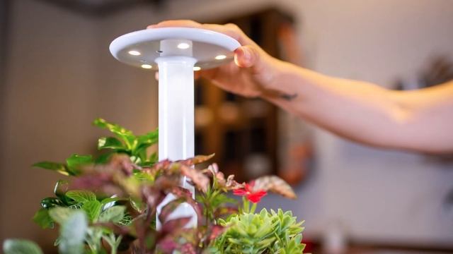 Discover The Future Of Gardening With Plantone 2.0 - The Ultimate Smart Plant Pot!