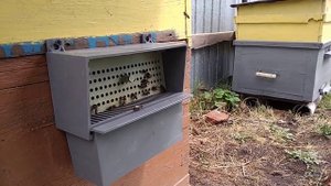 Обножка 24 июля , молодая семья .