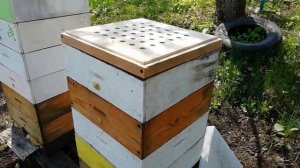 Прививочный ящик.