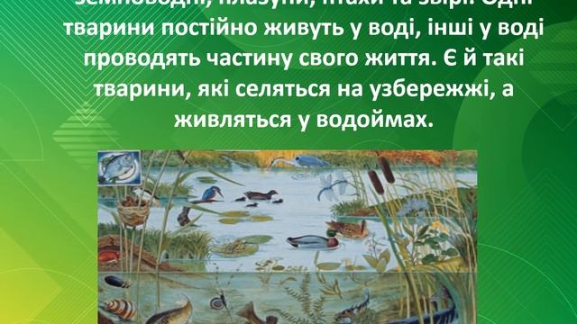 Урок 51 ПРІСНА ВОДОЙМА — ПРИРОДНЕ УГРУПОВАННЯ