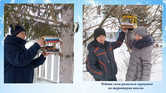 Накормите птиц зимой! смотреть онлайн