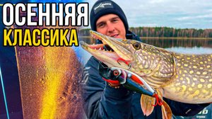 Неправильный ДЖЕРКИНГ и Классика ОСЕННЕЙ ЛОВЛИ ЩУКИ | Рыбалка на Водохранилище