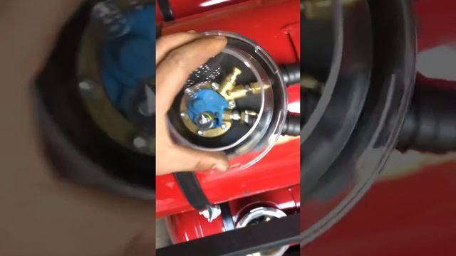 5 февраля 2021 г. смотреть онлайн