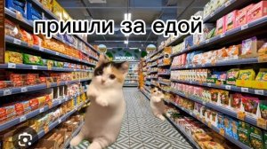 пов:аквапарк