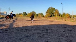 Конный клуб «Малинка»