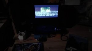 Реклама На DVD-Диск Реальная Белка (2014)