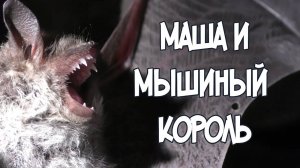 Записки Сибирского Натуралиста 5/7. Маша и Мышиный король