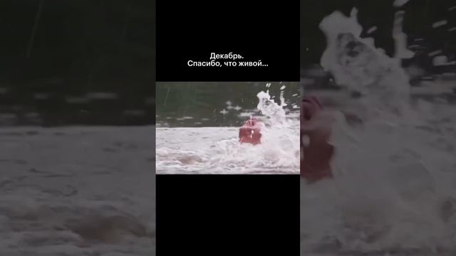 Выжили