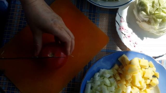 ЛЕТНИЕ ОВОЩИ ТУШЕНЫЕ  stewed summer vegetables