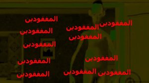 Angry Neighbor Video Virus