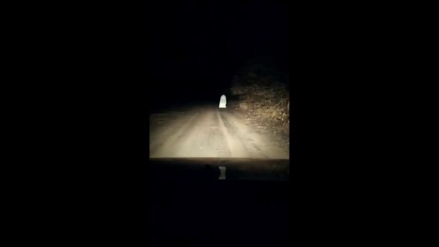 Комментарии не нужны, всё и так понятно 1