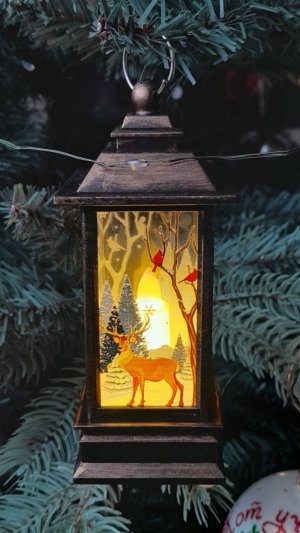 ФЛЕШМОБ Новогодние поздравления, или Операция "Волшебный фонарик" 2025