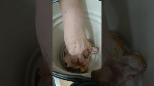 Звук есть) Едем на дачу,собираем сладкие подарки ,шашлык