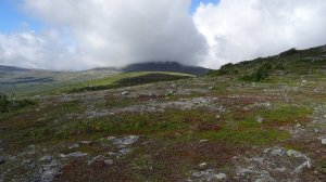 🔴Перевал Дятлова.  Пашин. База Ильича. Куриковы. Хой-Эква. Ремпель 🔴