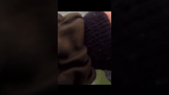 Килошный Судак взял на Виб KYODA. Бердь 25.11.23 #судакзимой #судакнавибы #судак смотреть онлайн