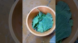 Готовим крошево для серых щей.