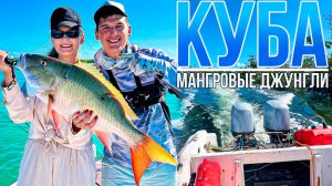 Обитатели МАНГРОВЫХ ДЖУНГЛЕЙ - рыбалка на Кубе с лодки | Где, как и сколько стоит?