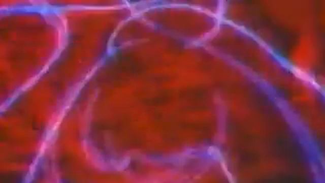 Все и сразу