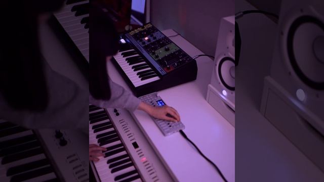 Moog Grandmother x OP-1 Teenage Engineering x Spitfire Audio смотреть онлайн