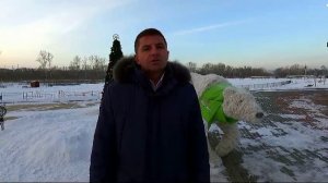 Поздравление с Новым годом!